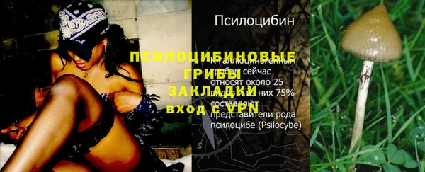 прущие грибы Сафоново