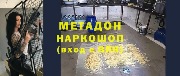 прущие грибы Сафоново